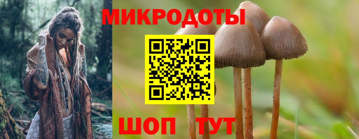 Гусев  Псилоцибиновые грибы прущие грибы  Псилоцибиновые грибы ЛСД  Вход с VPN 