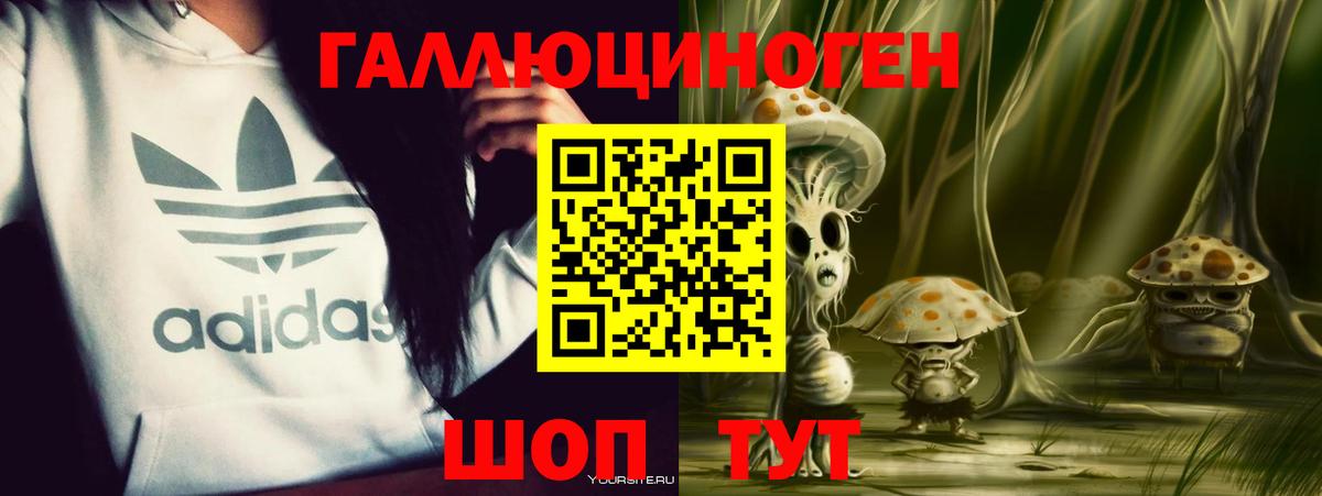 Галлюциногенные грибы мухоморы Гусев