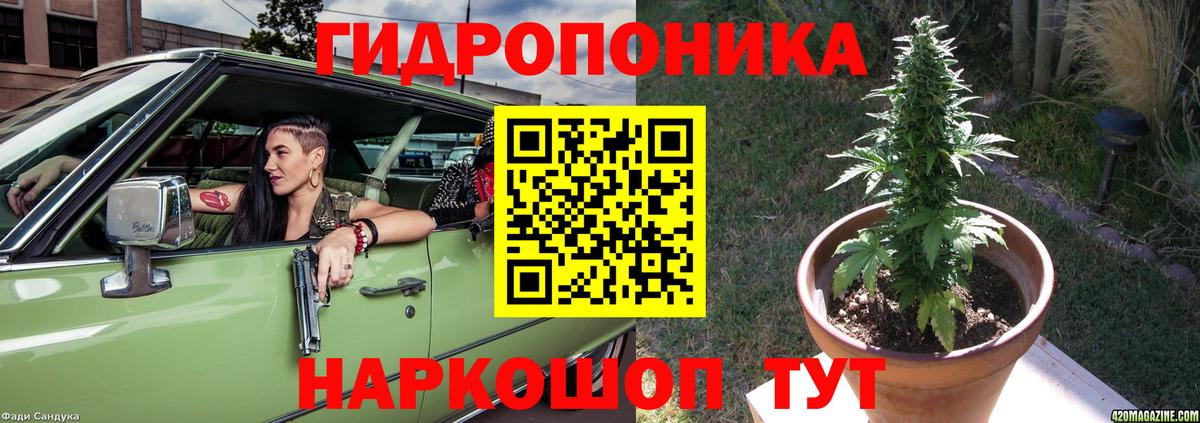 Каннабис ГИДРОПОН  Конопля AK-47  Каннабис Bruce Banner  Вход с VPN  Шишки марихуана MAZAR  Гусев 
